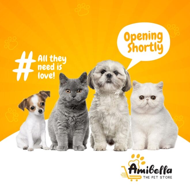 Amibella - Creative Social Media Marketing SMM service in Hyderabad and India